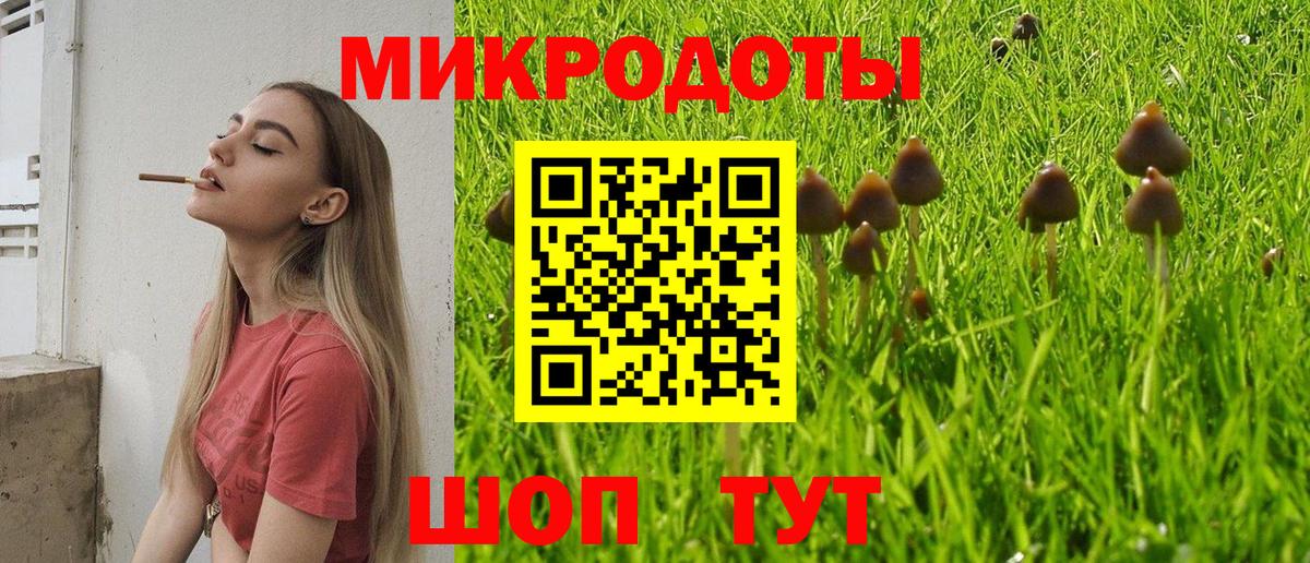 Псилоцибиновые грибы Magic Shrooms Зеленогорск