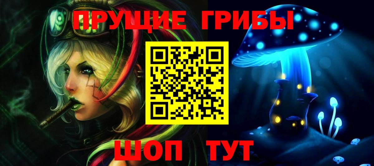 Псилоцибиновые грибы Magic Shrooms  купить закладку  Зеленогорск  Псилоцибиновые грибы Psilocybine cubensis  Вход с VPN 